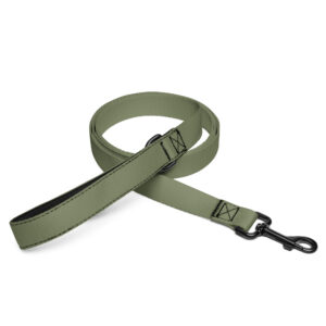 Pet leash