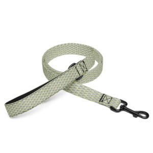 Pet leash