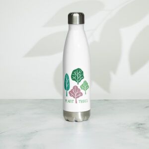 Stainless Steel Water Bottle