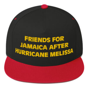 Friends For Jamaica Cap, Embroidered Flat Bill Cap